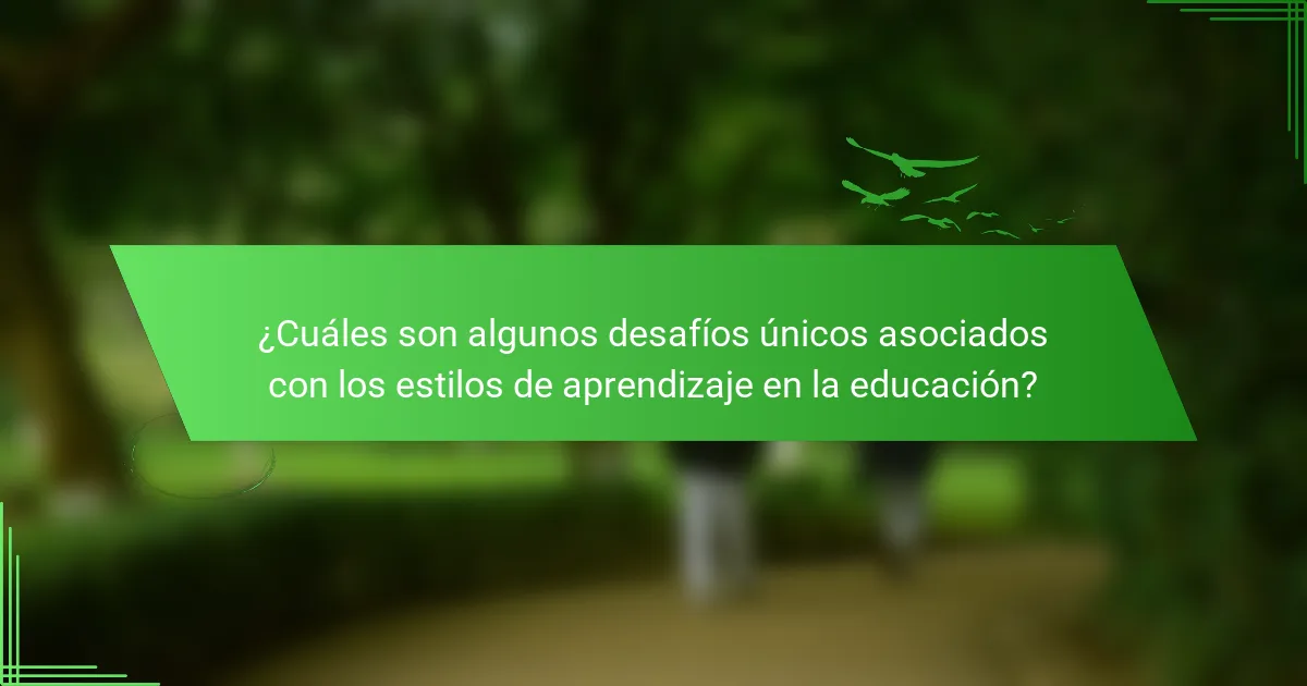 ¿Cuáles son algunos desafíos únicos asociados con los estilos de aprendizaje en la educación?