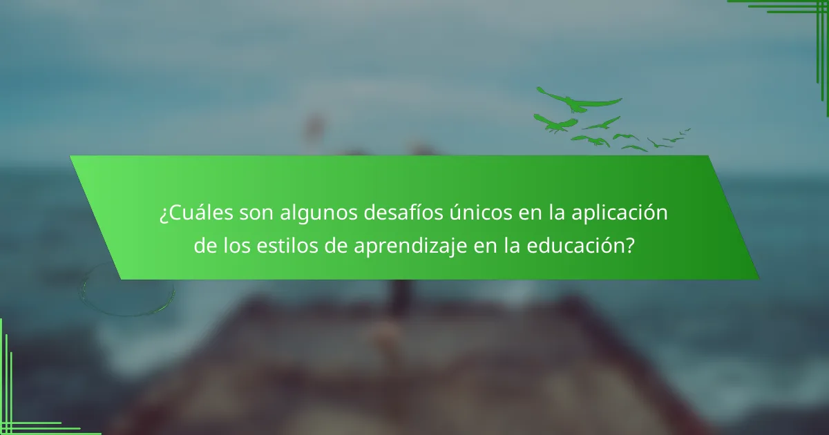 ¿Cuáles son algunos desafíos únicos en la aplicación de los estilos de aprendizaje en la educación?