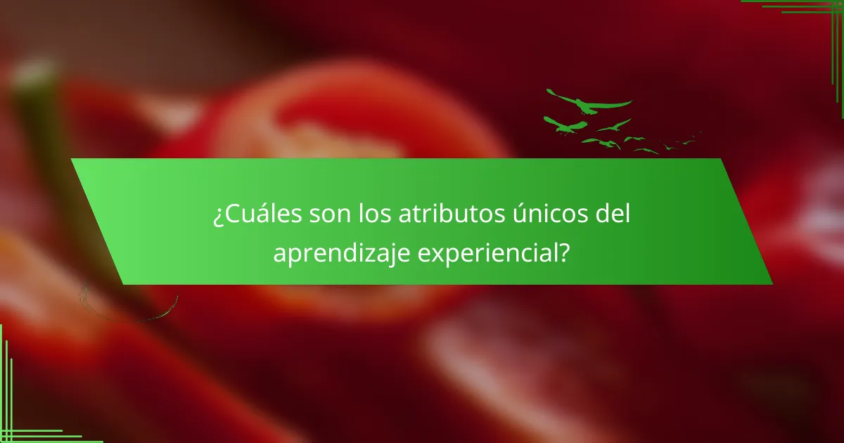 ¿Cuáles son los atributos únicos del aprendizaje experiencial?
