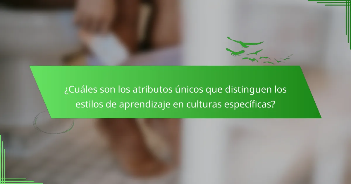 ¿Cuáles son los atributos únicos que distinguen los estilos de aprendizaje en culturas específicas?