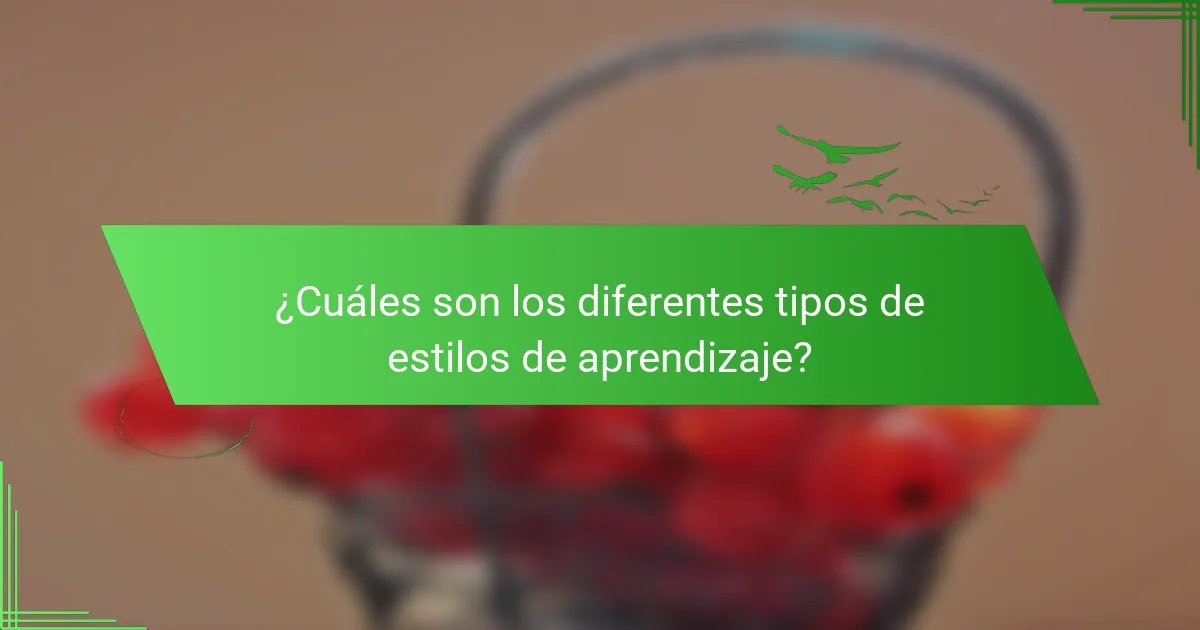 ¿Cuáles son los diferentes tipos de estilos de aprendizaje?
