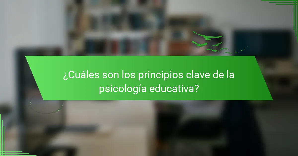 ¿Cuáles son los principios clave de la psicología educativa?