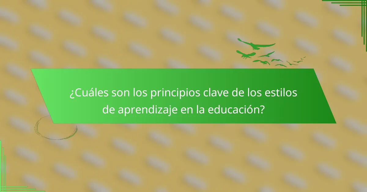 ¿Cuáles son los principios clave de los estilos de aprendizaje en la educación?