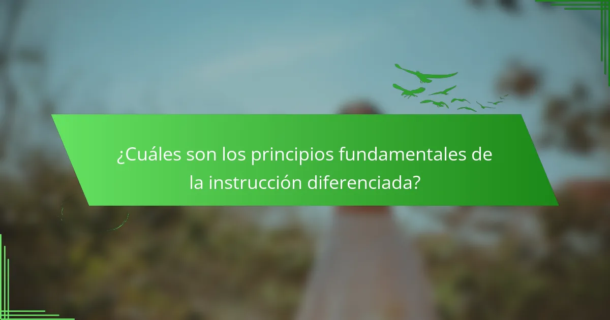 ¿Cuáles son los principios fundamentales de la instrucción diferenciada?