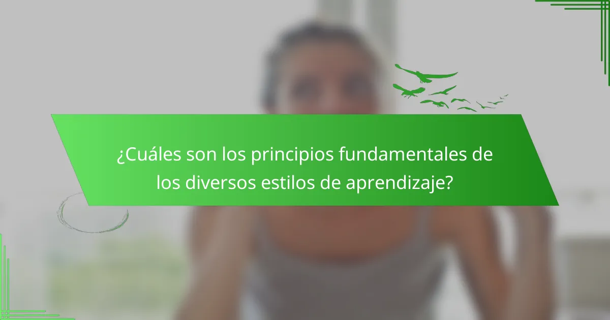 ¿Cuáles son los principios fundamentales de los diversos estilos de aprendizaje?