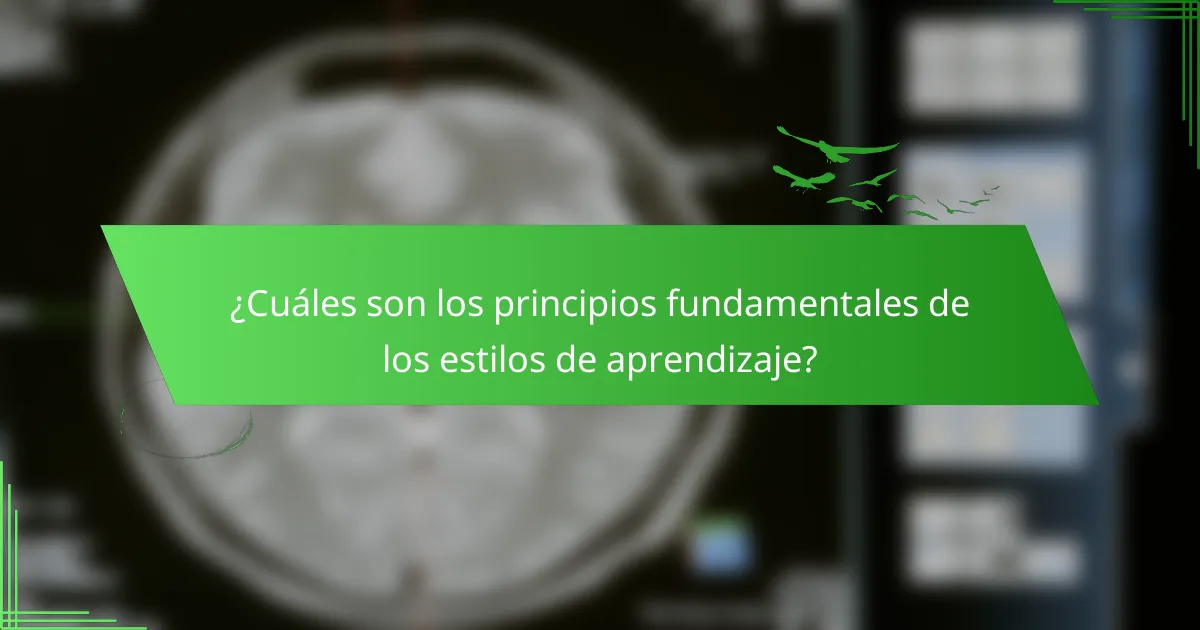 ¿Cuáles son los principios fundamentales de los estilos de aprendizaje?