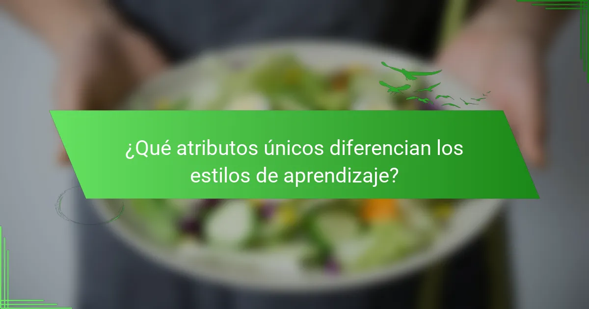 ¿Qué atributos únicos diferencian los estilos de aprendizaje?