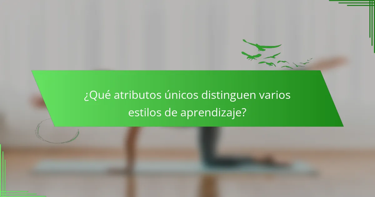 ¿Qué atributos únicos distinguen varios estilos de aprendizaje?