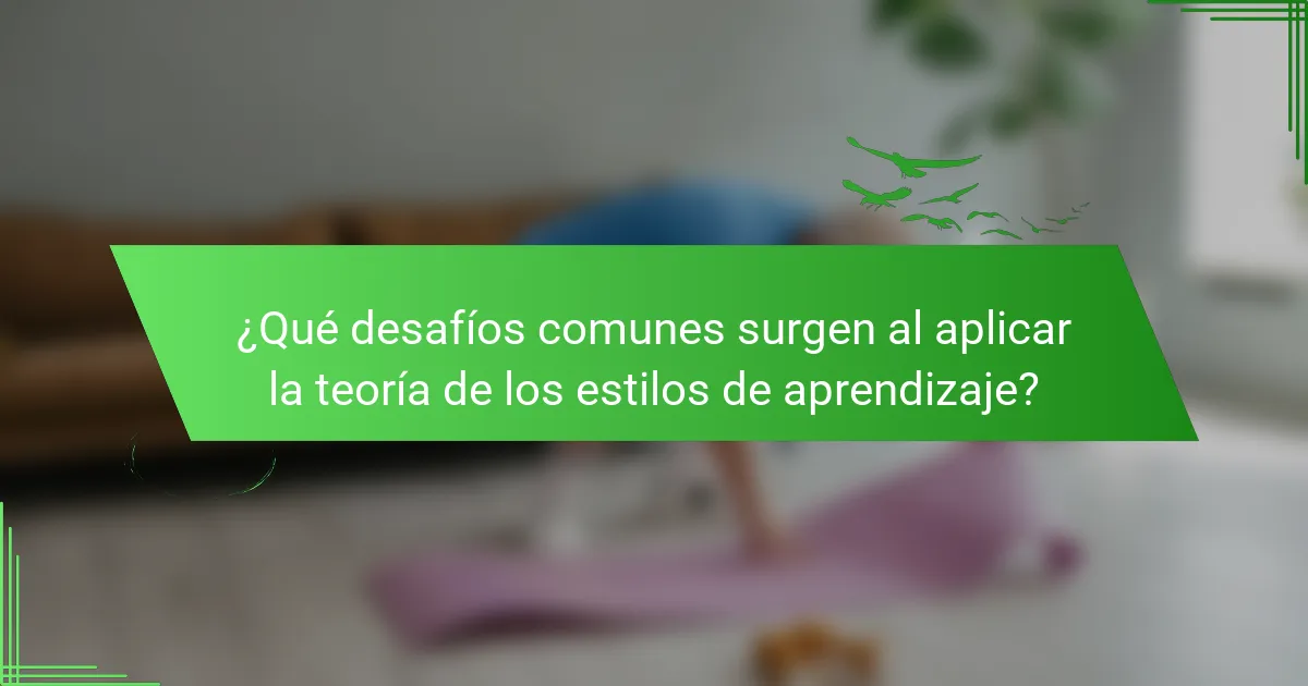 ¿Qué desafíos comunes surgen al aplicar la teoría de los estilos de aprendizaje?