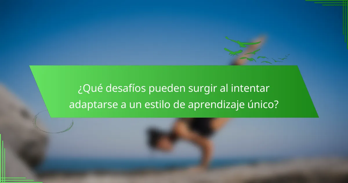 ¿Qué desafíos pueden surgir al intentar adaptarse a un estilo de aprendizaje único?