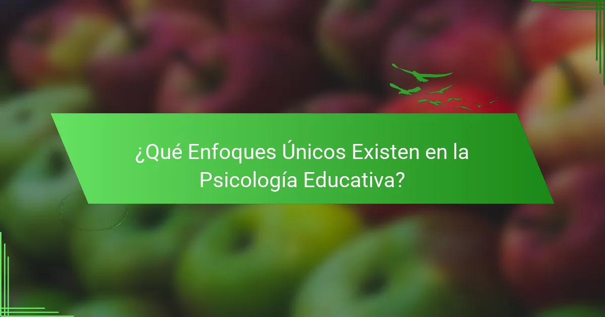 ¿Qué Enfoques Únicos Existen en la Psicología Educativa?