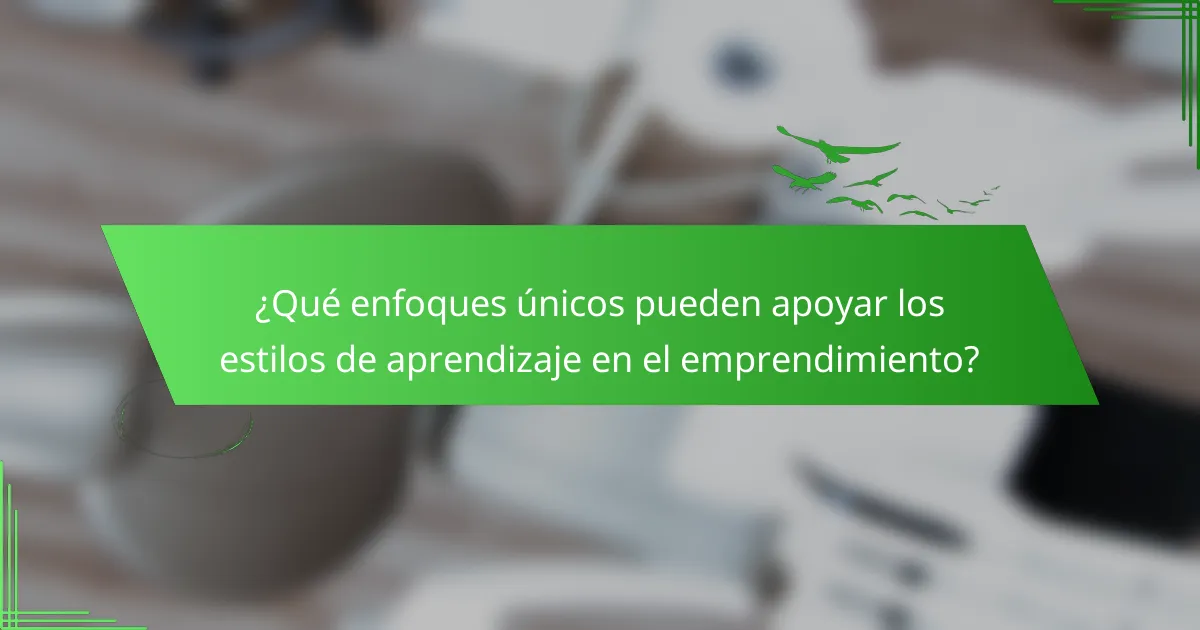 ¿Qué enfoques únicos pueden apoyar los estilos de aprendizaje en el emprendimiento?