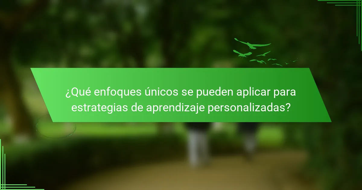¿Qué enfoques únicos se pueden aplicar para estrategias de aprendizaje personalizadas?