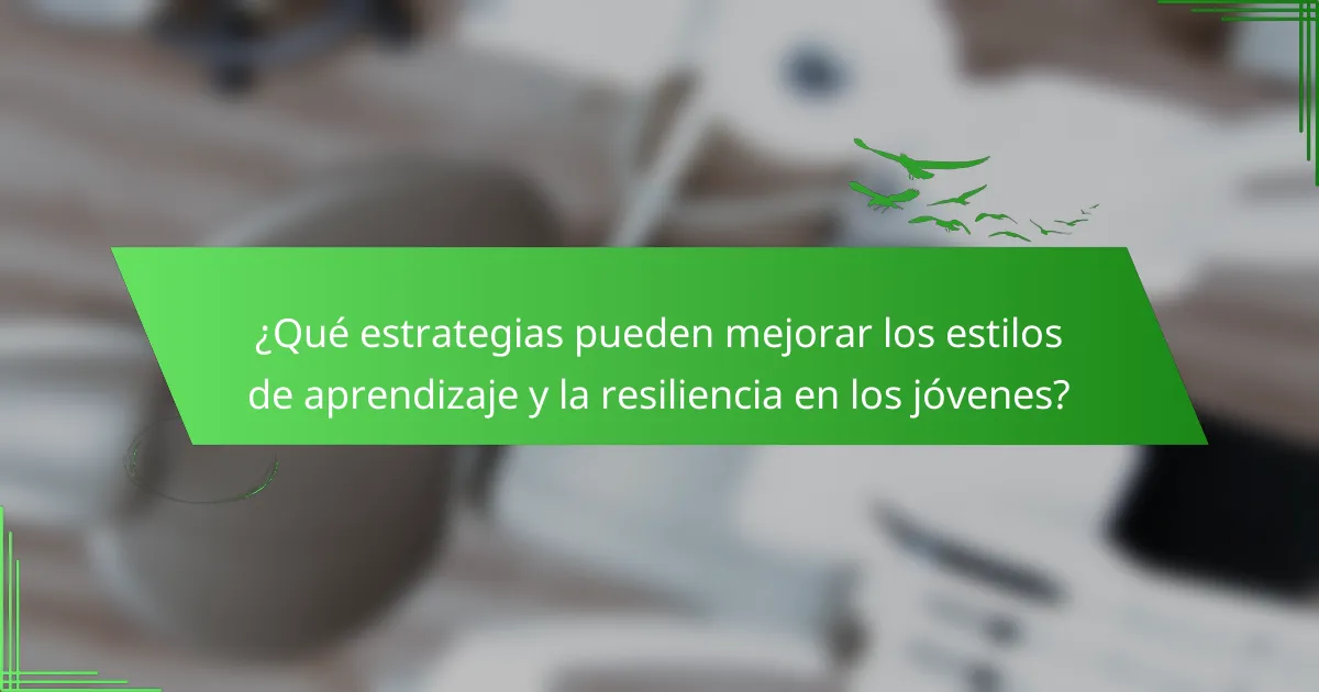 ¿Qué estrategias pueden mejorar los estilos de aprendizaje y la resiliencia en los jóvenes?