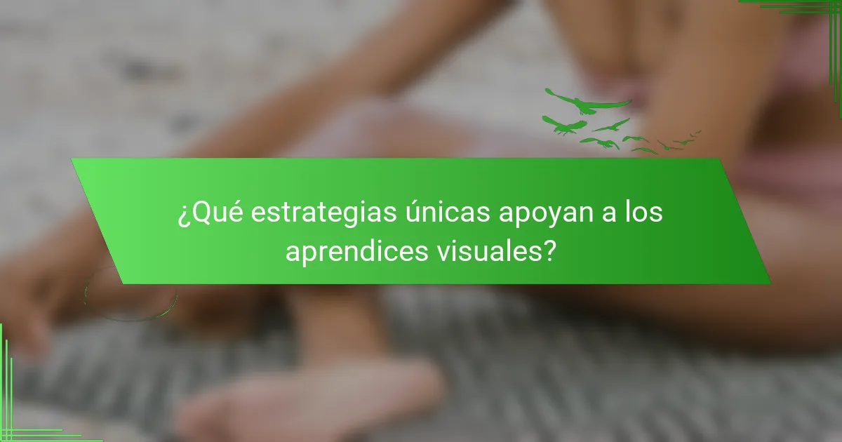 ¿Qué estrategias únicas apoyan a los aprendices visuales?