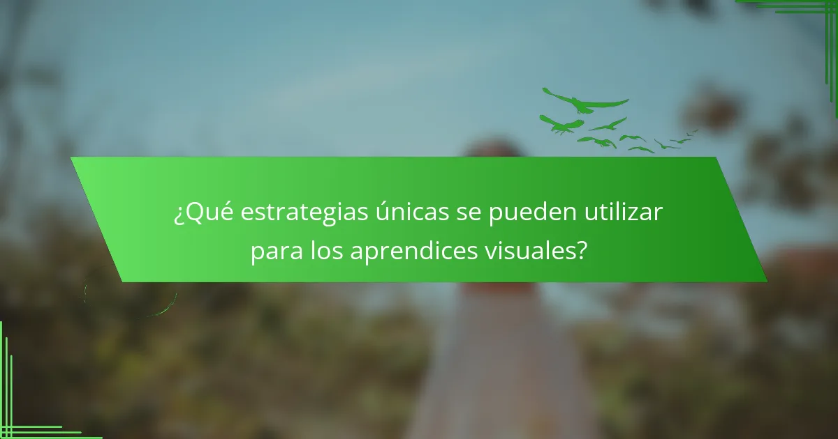 ¿Qué estrategias únicas se pueden utilizar para los aprendices visuales?