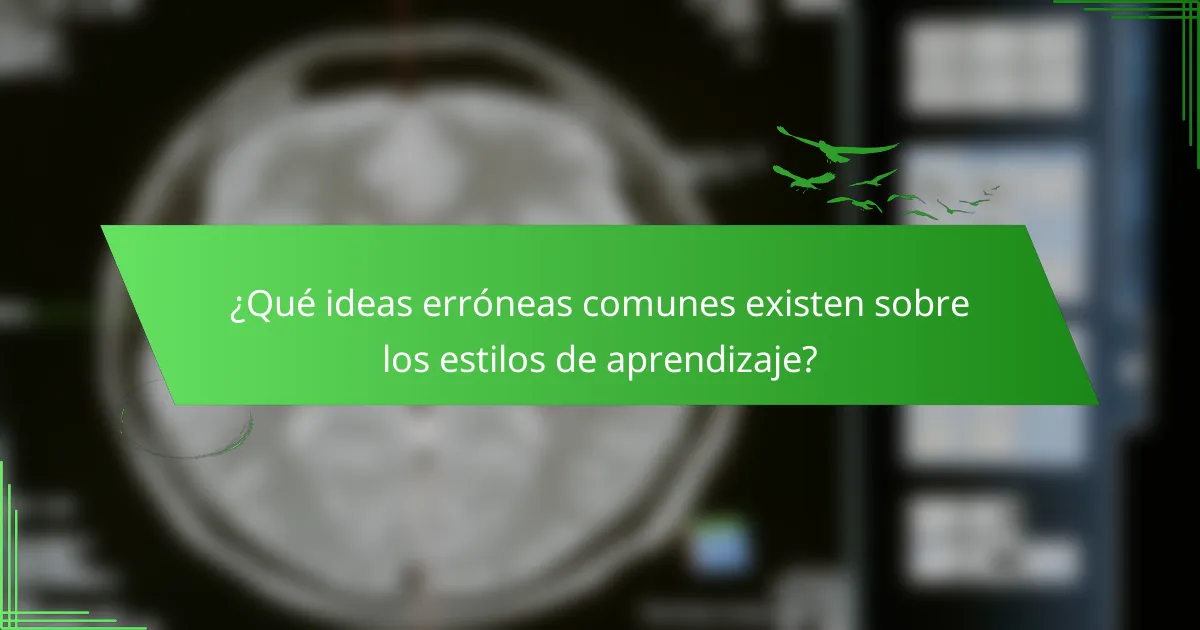 ¿Qué ideas erróneas comunes existen sobre los estilos de aprendizaje?