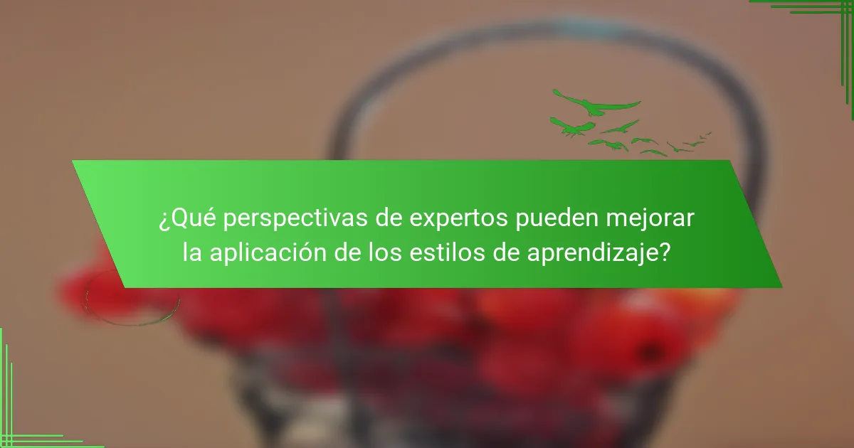 ¿Qué perspectivas de expertos pueden mejorar la aplicación de los estilos de aprendizaje?